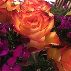 Meet your Posher, Lori